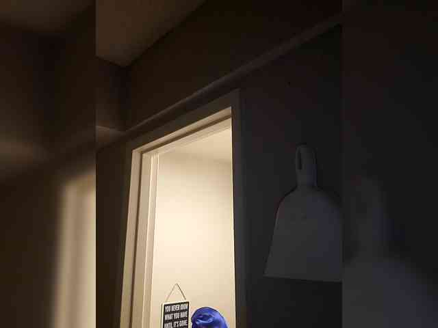 QueenAnitaDix webcam