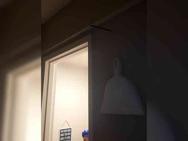 QueenAnitaDix webcam