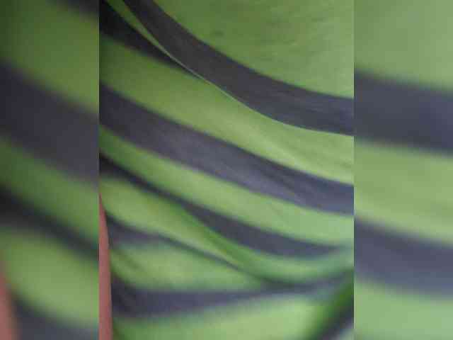 QueenAnitaDix webcam