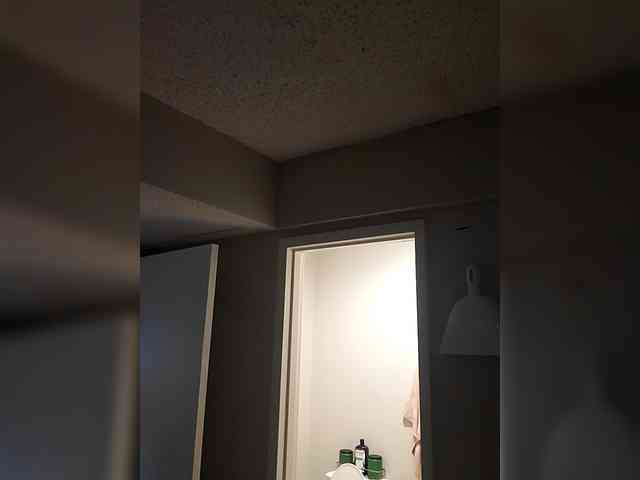 QueenAnitaDix webcam