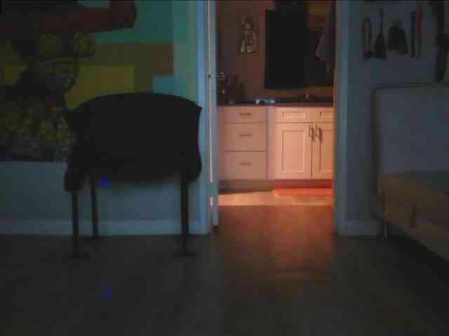 QueenAnitaDix webcam