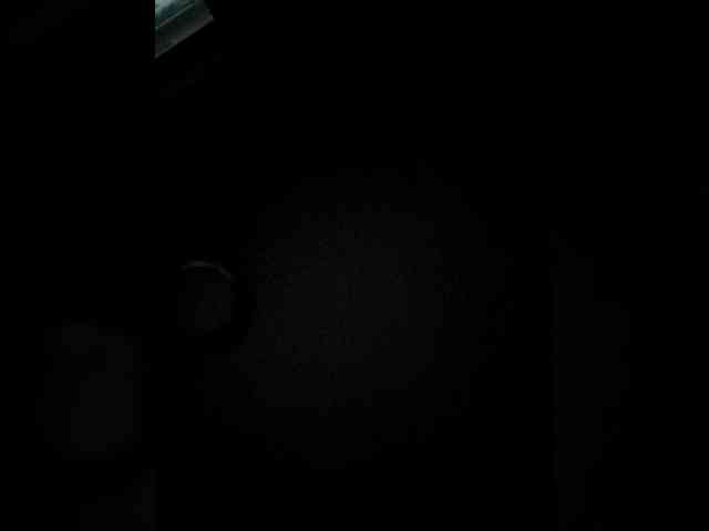 QueenAnitaDix webcam