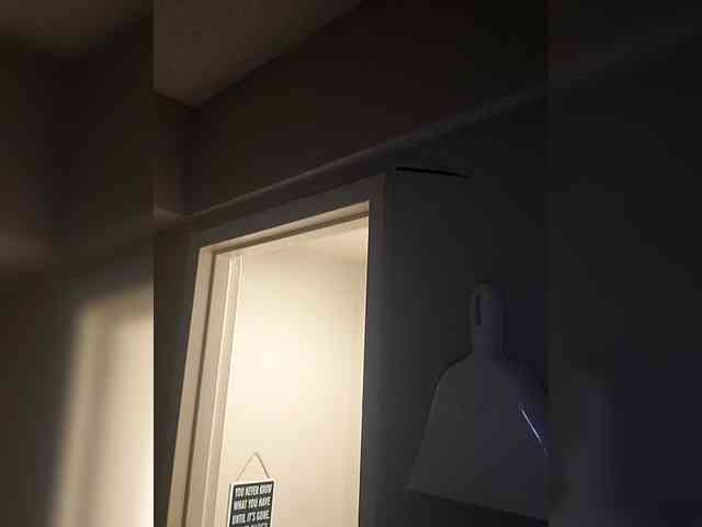 QueenAnitaDix webcam