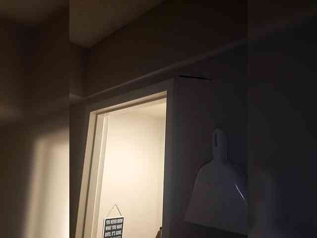 QueenAnitaDix webcam