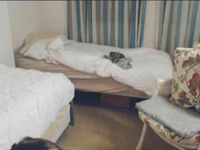 GiuliaHotXXX1 webcam