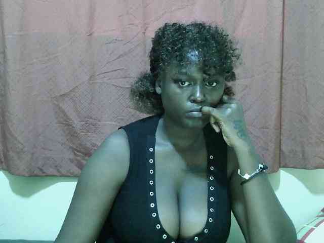 SweetHive webcam