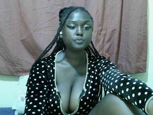 SweetHive webcam