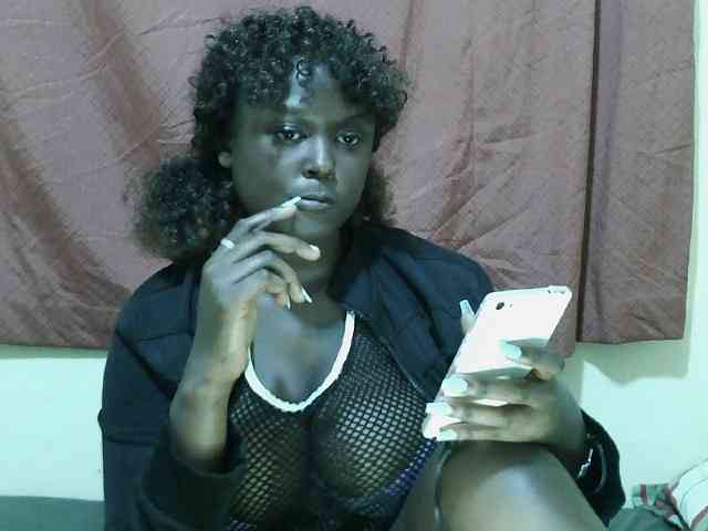 SweetHive webcam