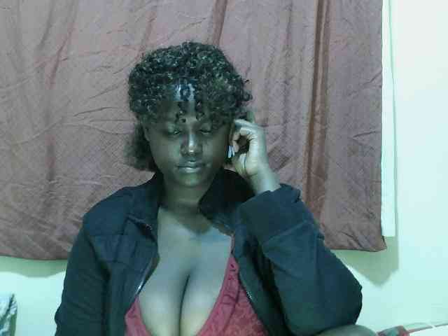 SweetHive webcam