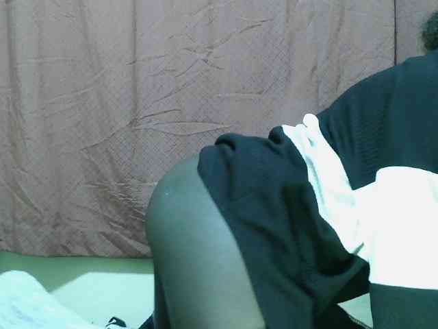 SweetHive webcam
