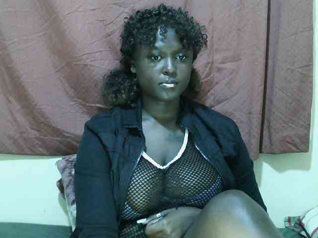 SweetHive webcam