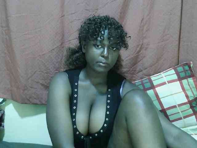 SweetHive webcam
