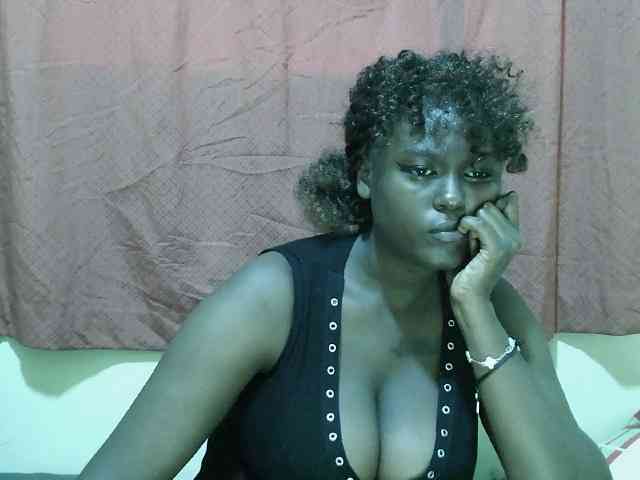 SweetHive