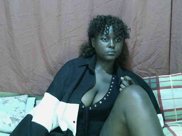 SweetHive webcam