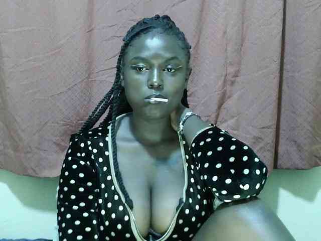 SweetHive webcam