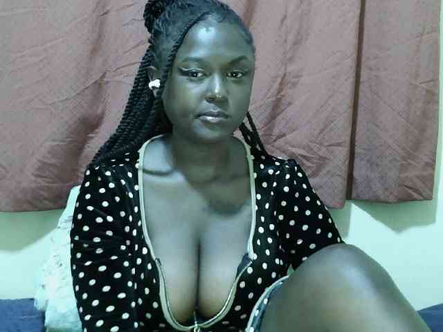 SweetHive webcam
