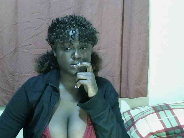 SweetHive webcam