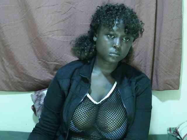SweetHive webcam