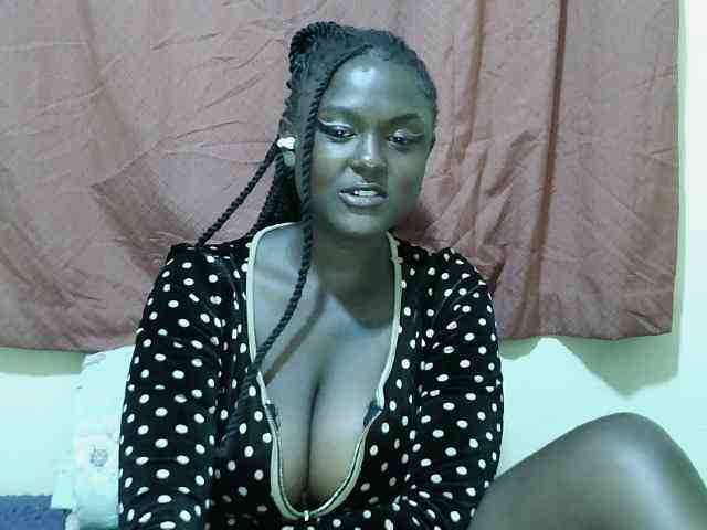 SweetHive webcam