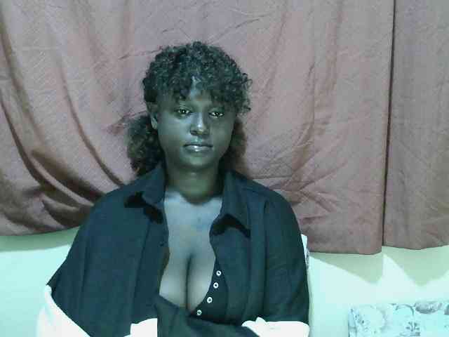 SweetHive webcam