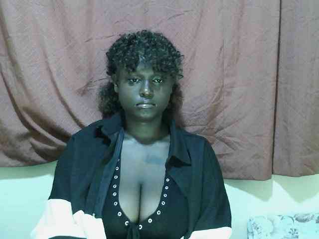 SweetHive webcam