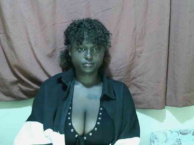 SweetHive webcam