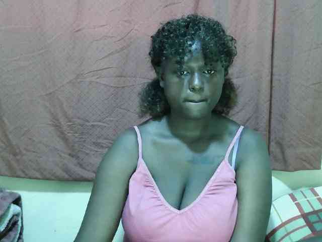 SweetHive webcam