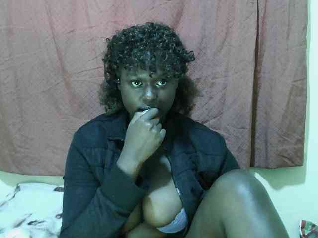 SweetHive webcam