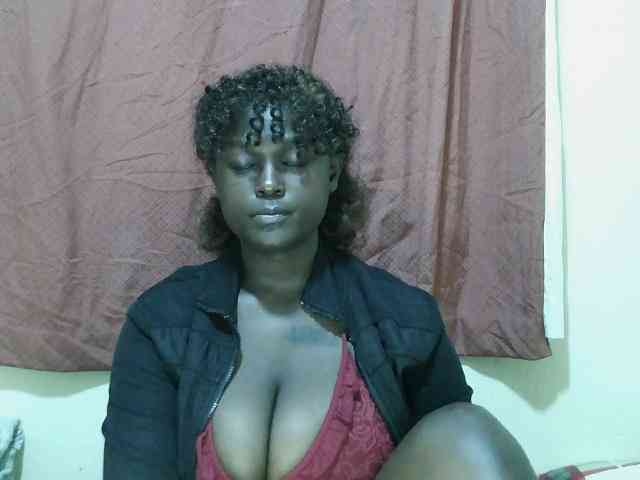 SweetHive webcam