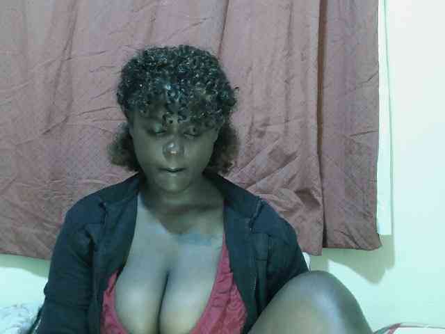 SweetHive webcam