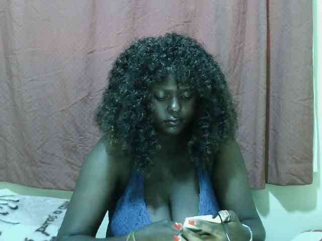 SweetHive webcam