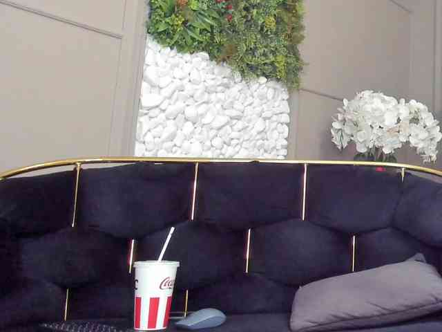 UnforseenLand webcam