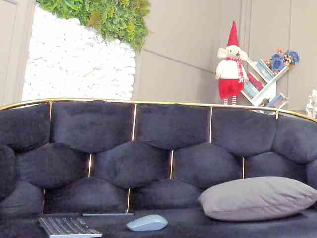 UnforseenLand webcam