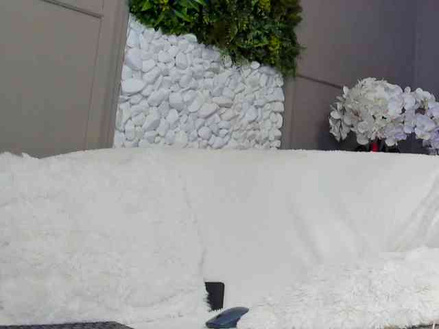 UnforseenLand webcam