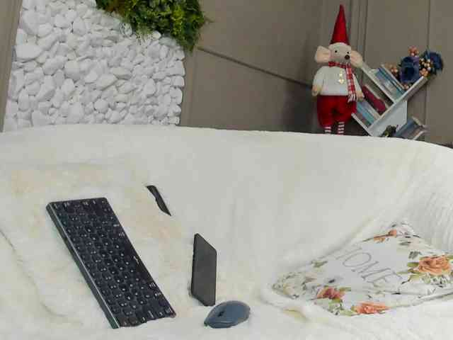 UnforseenLand webcam