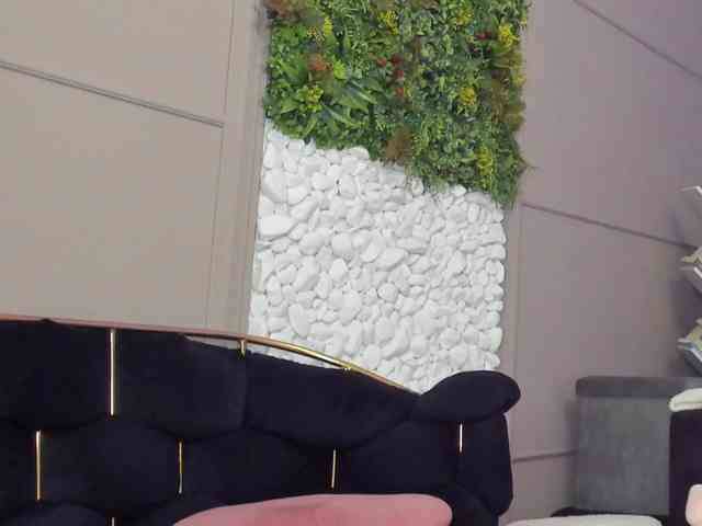 UnforseenLand webcam