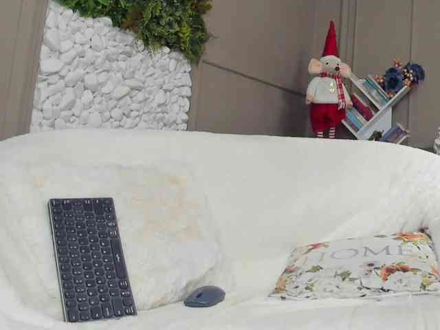 UnforseenLand webcam