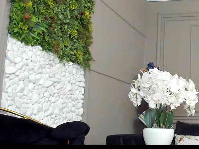 UnforseenLand webcam