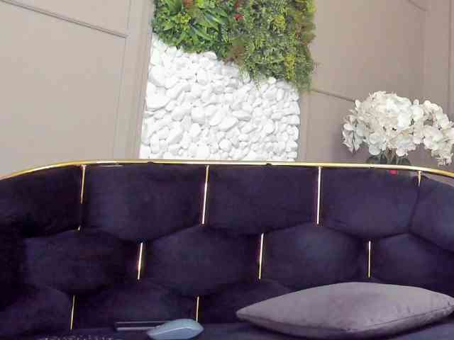 UnforseenLand webcam