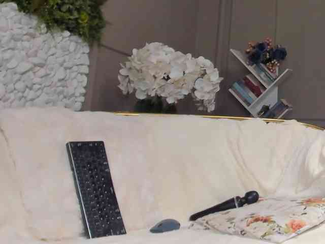 UnforseenLand webcam