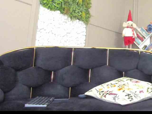 UnforseenLand webcam