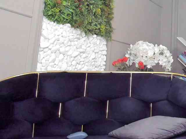 UnforseenLand webcam