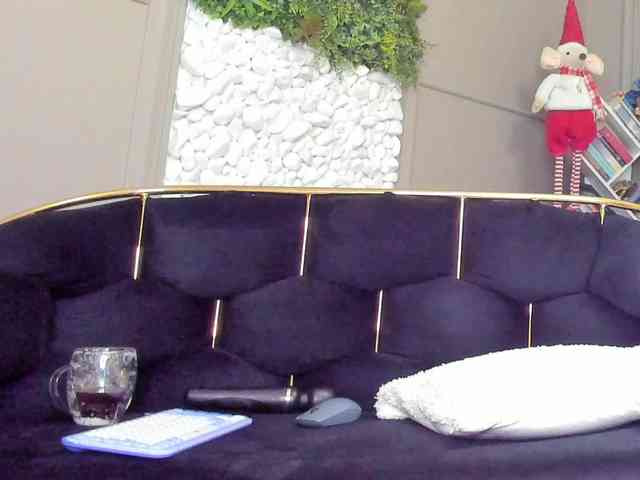 UnforseenLand webcam