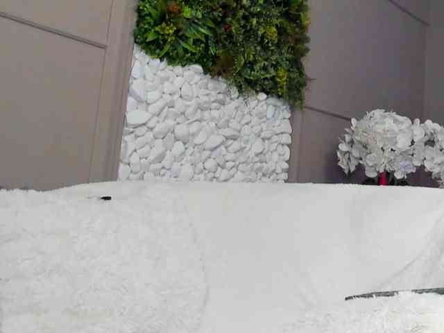 UnforseenLand webcam