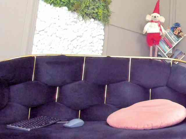 UnforseenLand webcam