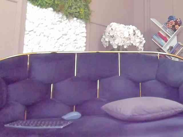 UnforseenLand webcam