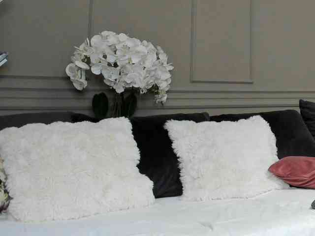 UnforseenLand webcam