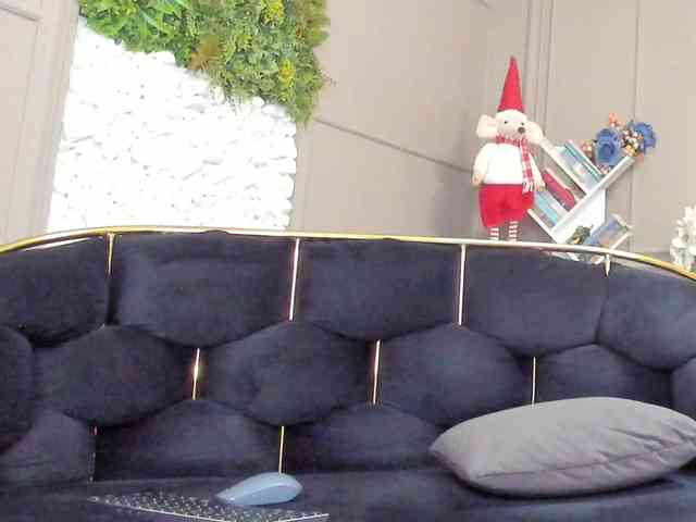 UnforseenLand webcam