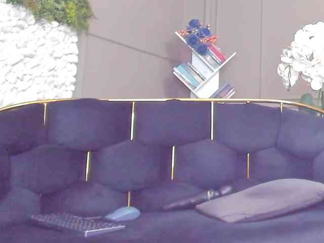 UnforseenLand webcam