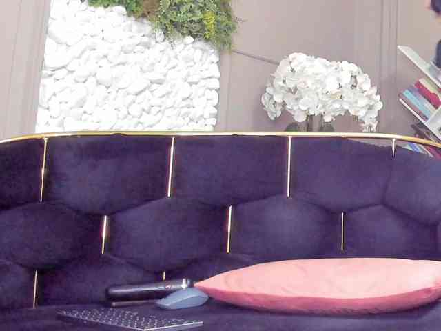 UnforseenLand webcam